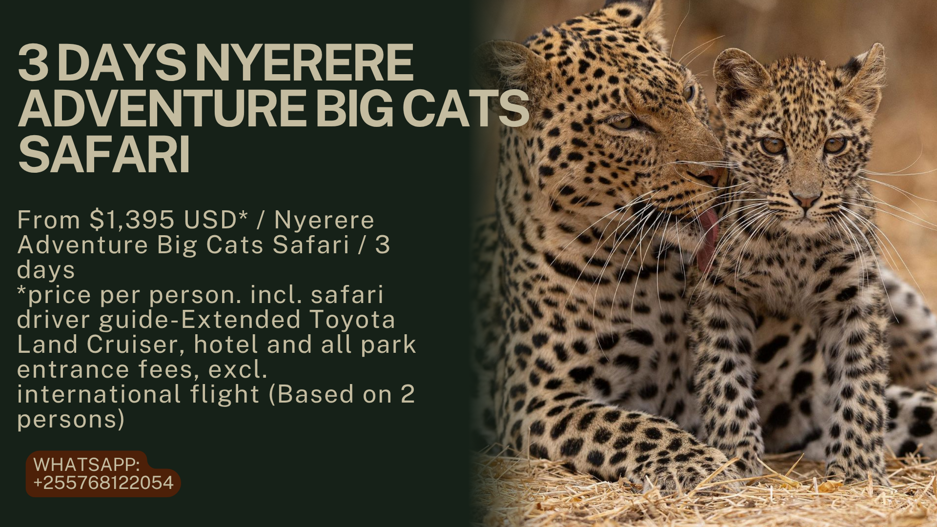 3 Days Nyerere Adventure Big Cats Safari