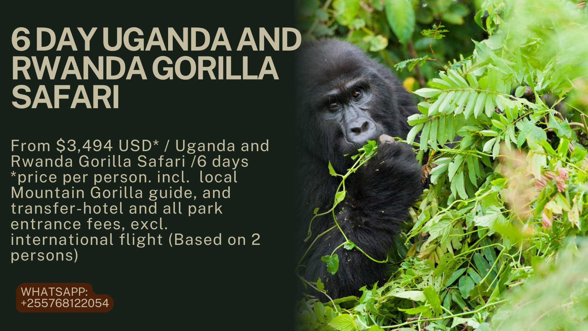 6 Day Uganda and Rwanda Gorilla Safari