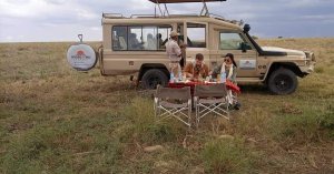 overland safaris game view